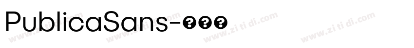 PublicaSans字体转换