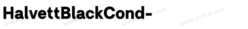 HalvettBlackCond字体转换