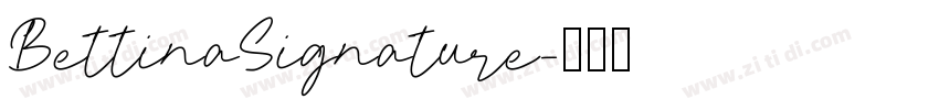 BettinaSignature字体转换