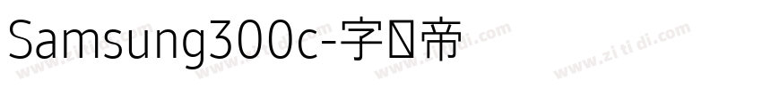 Samsung300c字体转换