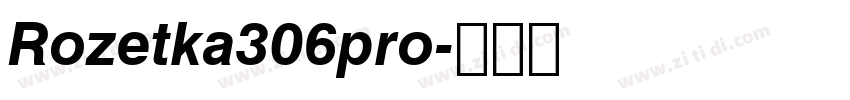 Rozetka306pro字体转换