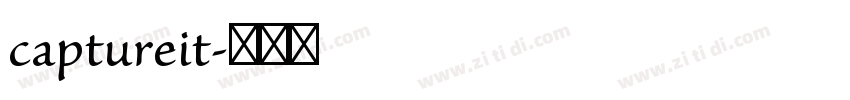captureit字体转换