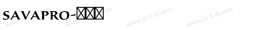 savapro字体转换