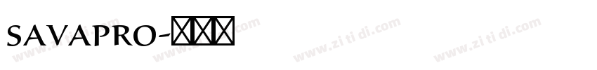 savapro字体转换