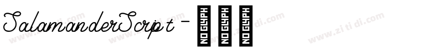 SalamanderScript字体转换