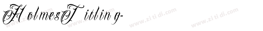 HolmesTitling字体转换