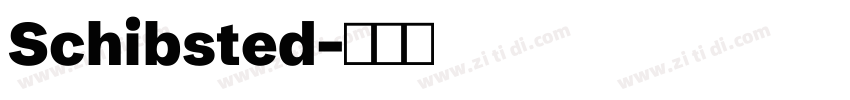 Schibsted字体转换 Schibsted字体转换