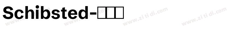 Schibsted字体转换 Schibsted字体转换