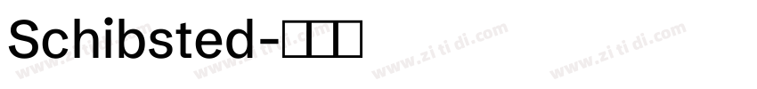 Schibsted字体转换 Schibsted字体转换