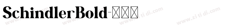 SchindlerBold字体转换