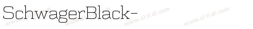 SchwagerBlack字体转换