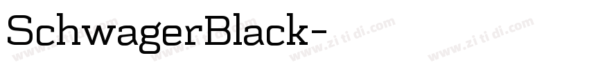 SchwagerBlack字体转换