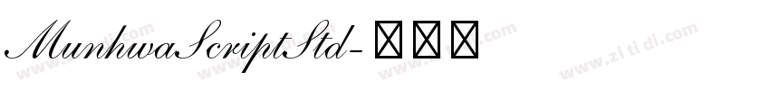 MunhwaScriptStd字体转换