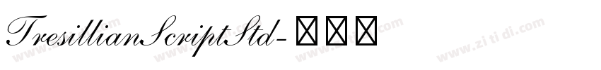 TresillianScriptStd字体转换