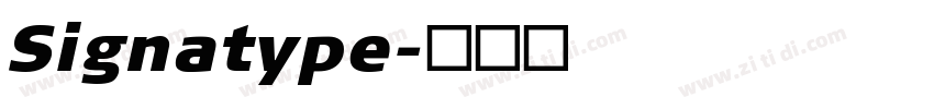 Signatype字体转换