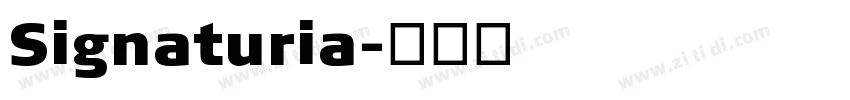 Signaturia字体转换