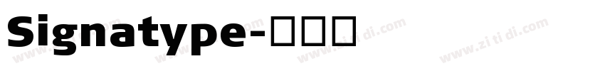 Signatype字体转换