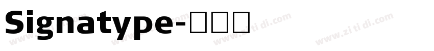 Signatype字体转换