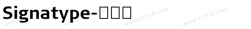 Signatype字体转换