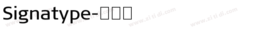 Signatype字体转换