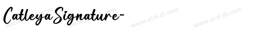 CatleyaSignature字体转换
