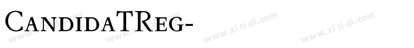CandidaTReg字体转换