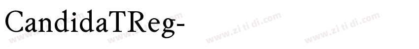 CandidaTReg字体转换