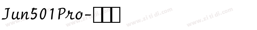 Jun501Pro字体转换