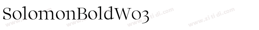 SolomonBoldW03字体转换