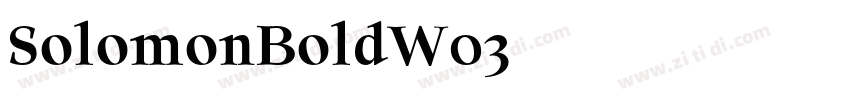 SolomonBoldW03字体转换