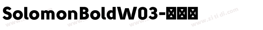 SolomonBoldW03字体转换