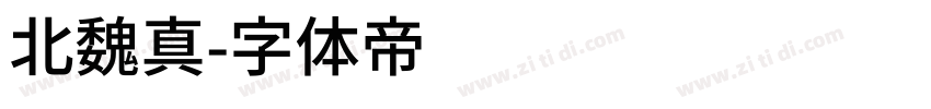 北魏真字体转换