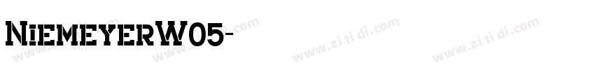 NiemeyerW05字体转换