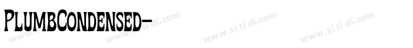PlumbCondensed字体转换