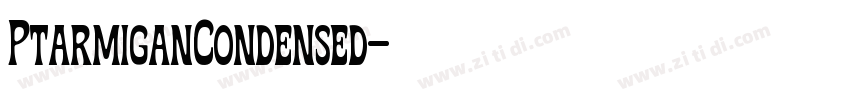 PtarmiganCondensed字体转换
