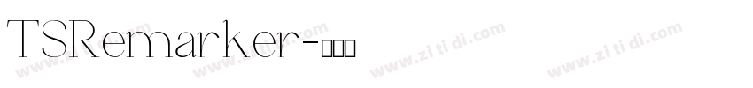 TSRemarker字体转换