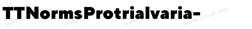 TTNormsProtrialvaria字体转换