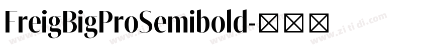 FreigBigProSemibold字体转换
