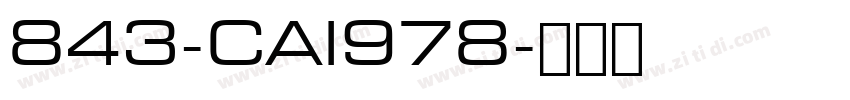 843-CAI978字体转换