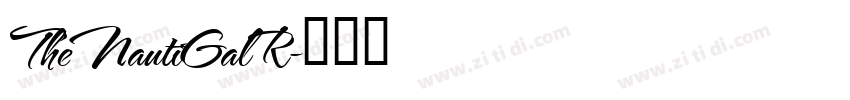 TheNautiGalR字体转换
