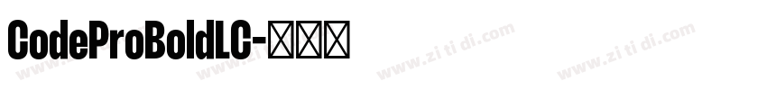 CodeProBoldLC字体转换