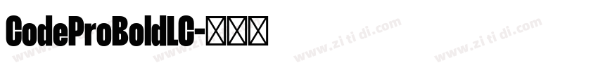CodeProBoldLC字体转换