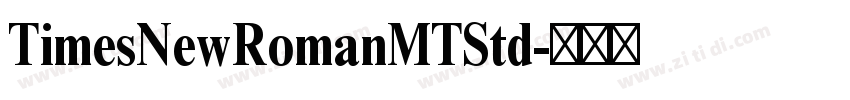 TimesNewRomanMTStd字体转换