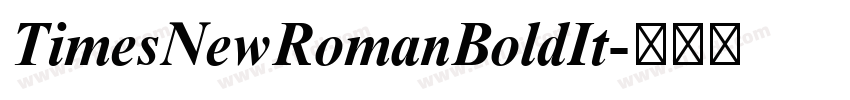 TimesNewRomanBoldIt字体转换