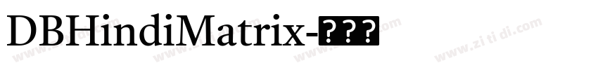 DBHindiMatrix字体转换