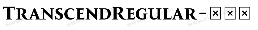 TranscendRegular字体转换