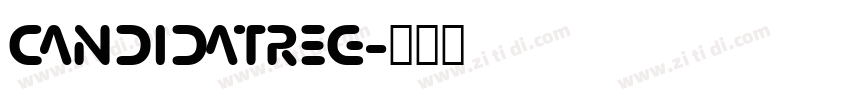 CandidaTReg字体转换