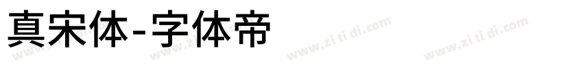 真宋体字体转换