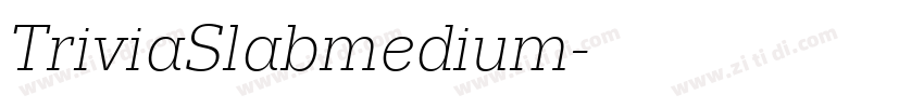 TriviaSlabmedium字体转换
