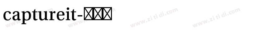 captureit字体转换